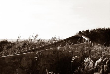 Demo image