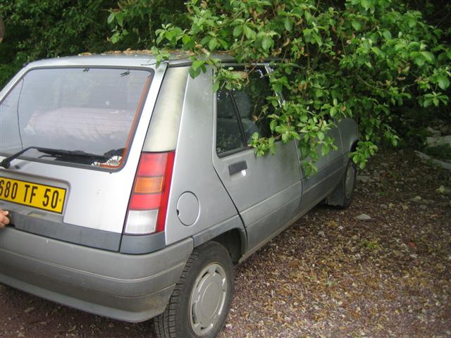 246
